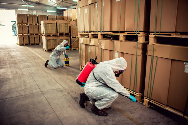 Best Pest Prevention Services  in Shepherd, MI