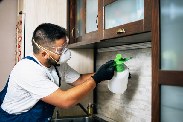 Best Affordable Pest Control Services  in Shepherd, MI