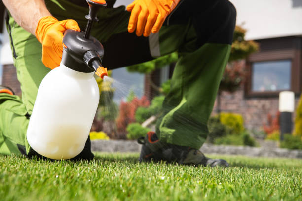 Best Best Pest Control Companies  in Shepherd, MI