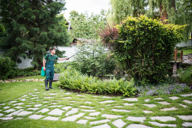 Best Local Pest Control Services  in Shepherd, MI