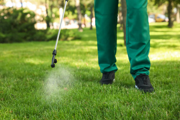 Best Termite Control Services  in Shepherd, MI