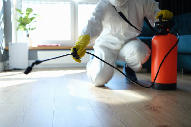 Wasp Removal Services in Shepherd, MI
