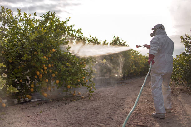 Best Pest Control for Restaurants  in Shepherd, MI
