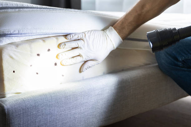 Best Pest Removal Services  in Shepherd, MI
