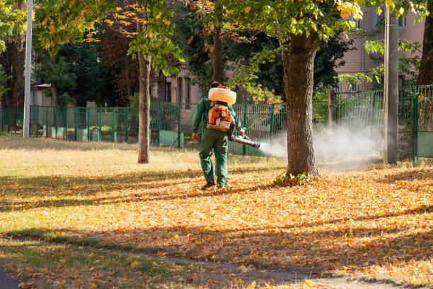 Best Spider Control Near Me  in Shepherd, MI