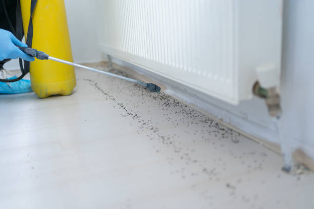 Best Exterminator Services  in Shepherd, MI