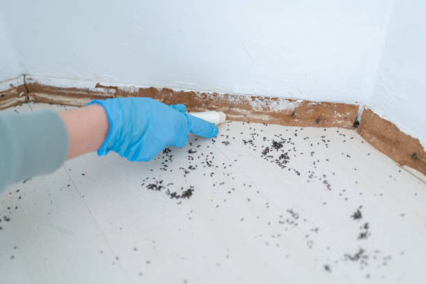 Pest Prevention Services in Shepherd, MI